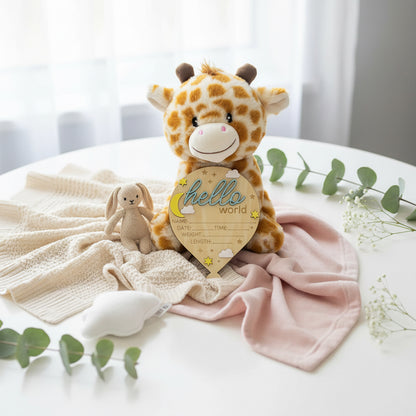 Hot Air Balloon Baby Announcement Plaque