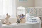 Personalised Dinosaur Birth Announcement Plaque